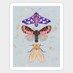 Moths Sticker